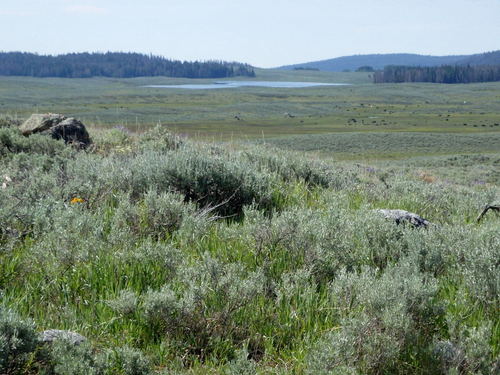 GDMBR: Plenty of ponds around here.